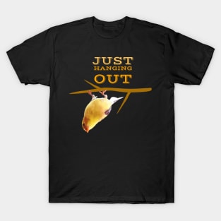 Cute Bird Hanging Upside Down With Text T-shirt T-Shirt
